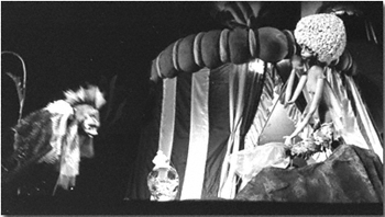 �u�l���P�v����ʐ^